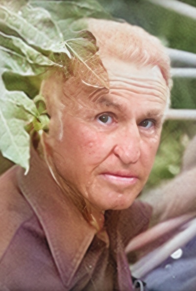 Cecil Ford